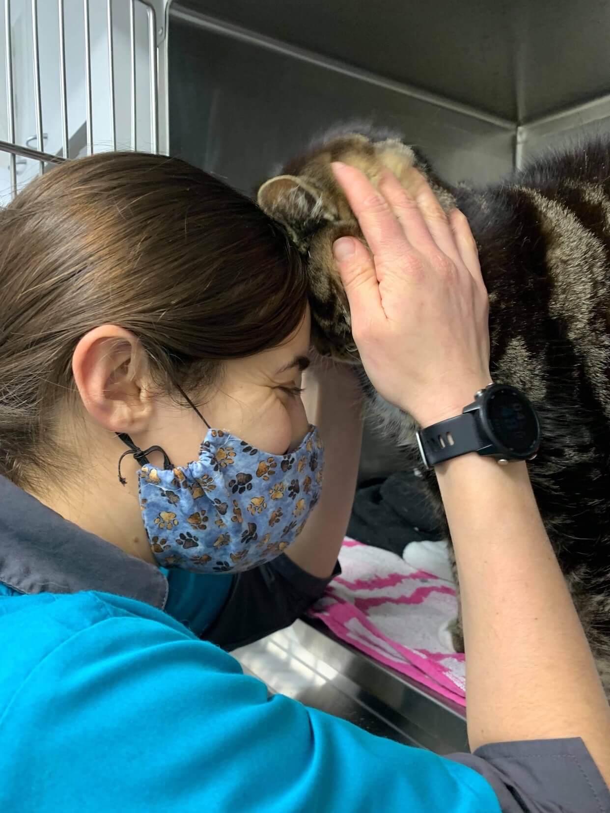 Careers West Queanbeyan Veterinary Hospital