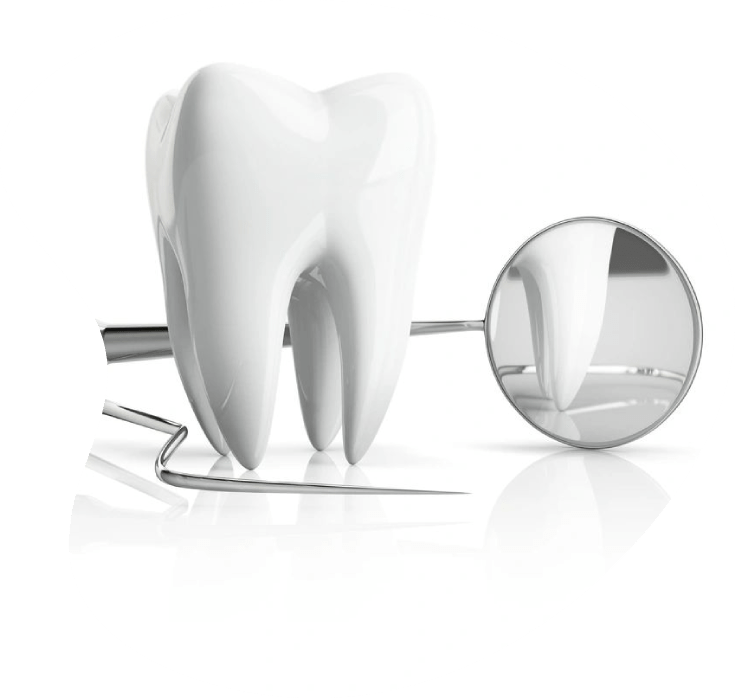 Westshore Endodontics Endodontic Therapy Michigan