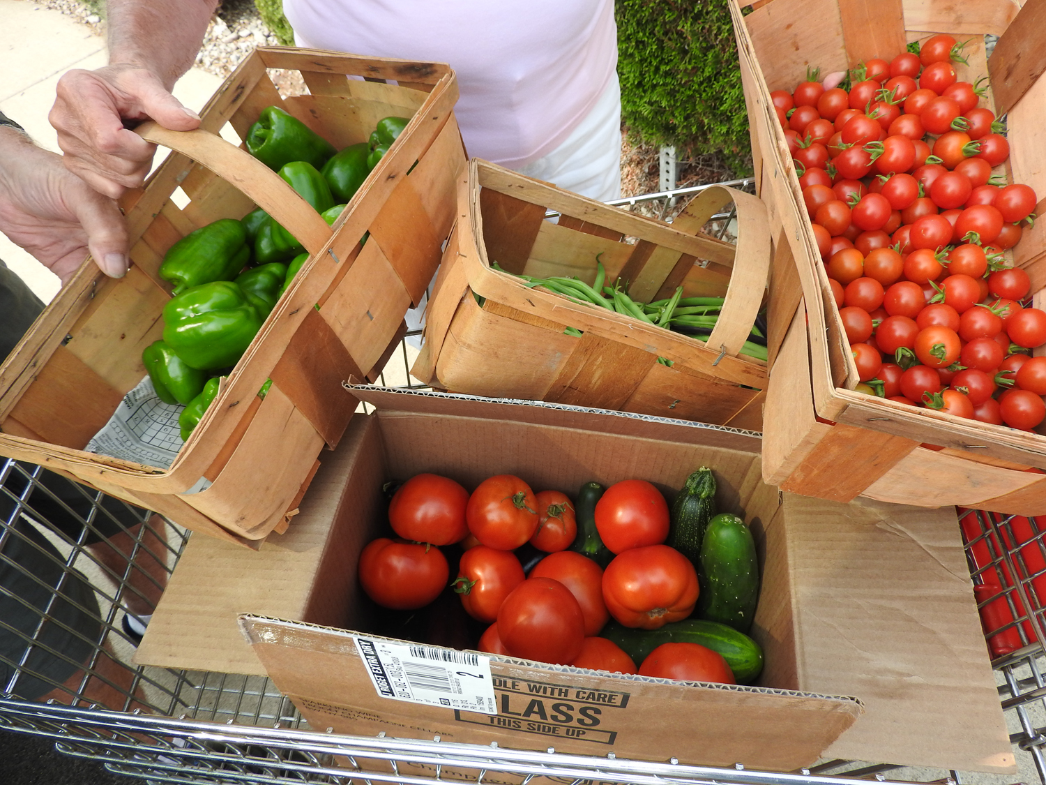 ATTENTION Home Gardeners Donations Requested Westside News Inc