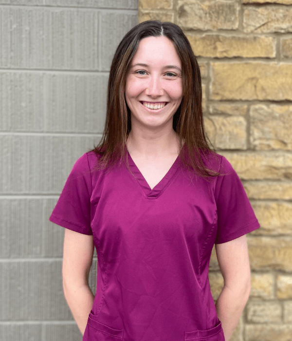 Veterinarian In Murray, KY 42071 WVS