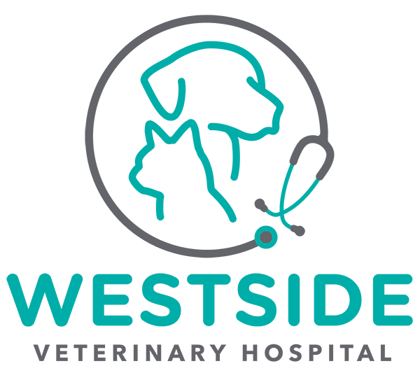 westside veterinary hospital marietta ga Ione Trimble