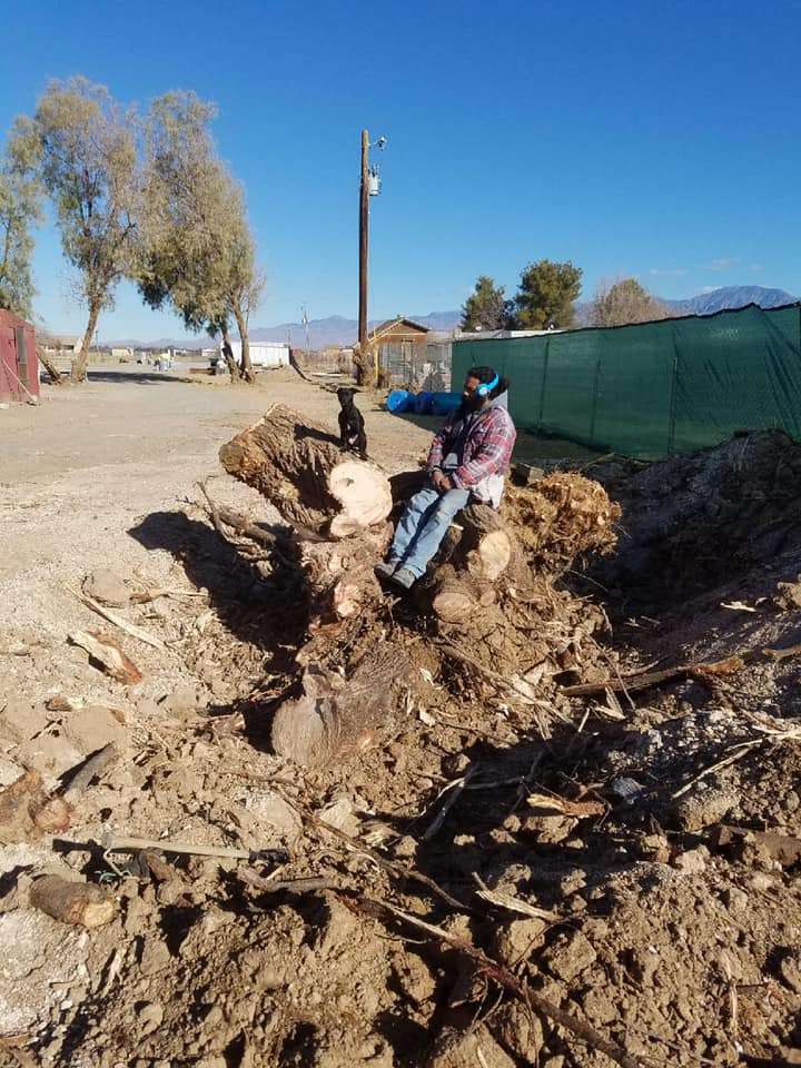 Cat House · West Star