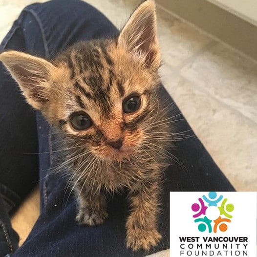 BC SPCA West Vancouver Branch West Vancouver Foundation