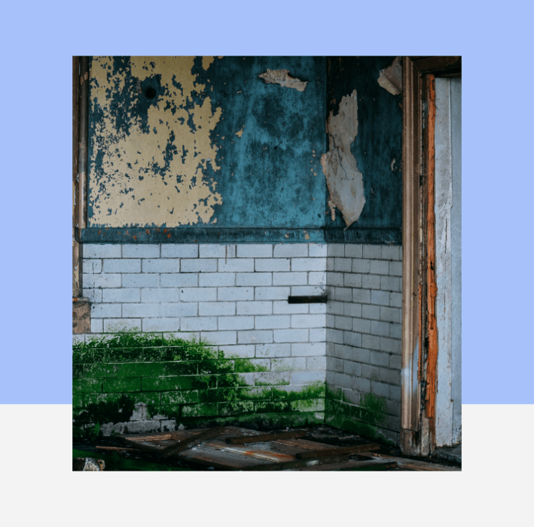 Defect Analysis Westville Associates Richmond & Cobham, London