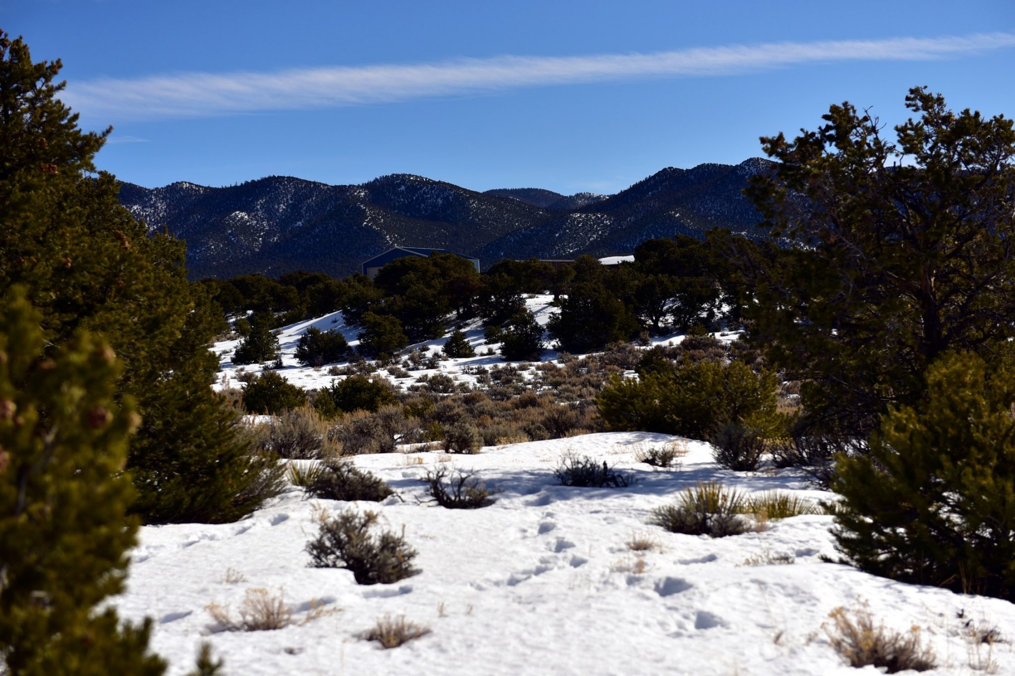 5+ Acres in the Colorado Mountains Just for you! Westward Land