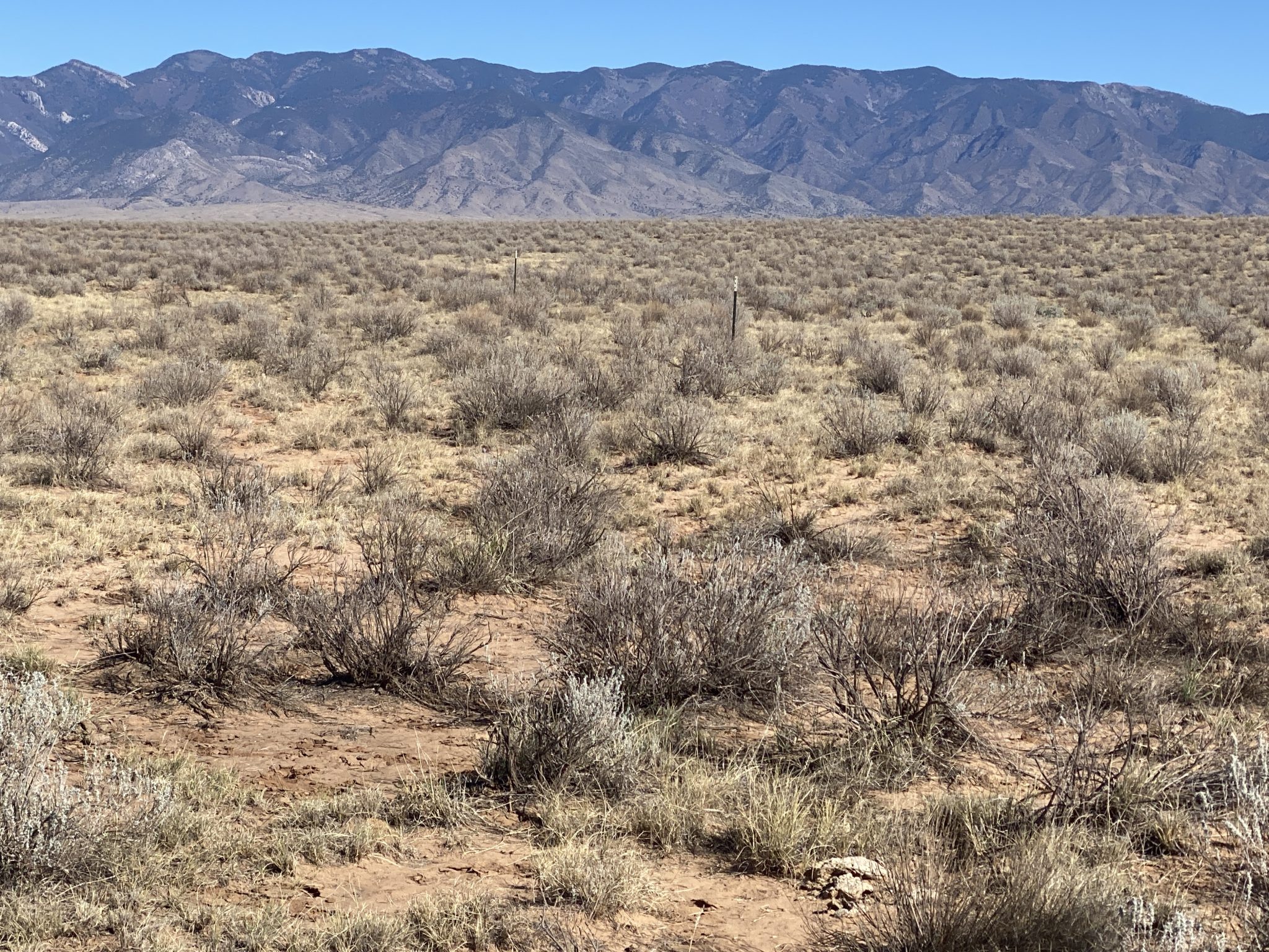1/2 Acre in New Mexico BIG Investment Opportunity and Prime