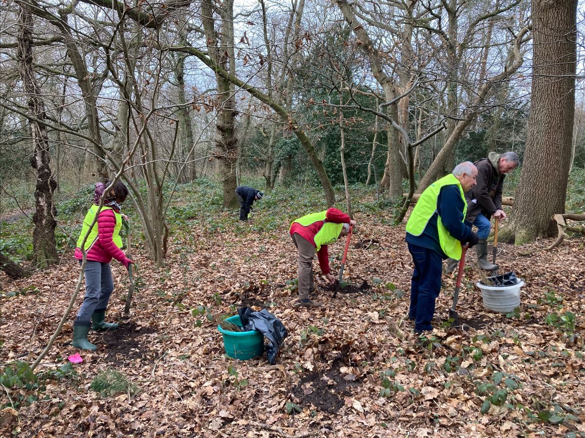 West Wickham Commons March Newsletter West Wickham Residents Association