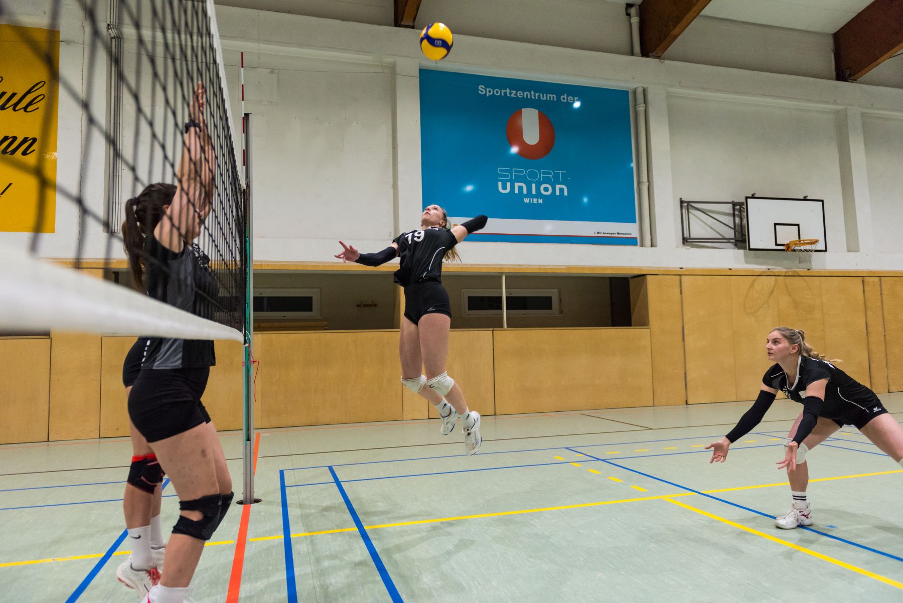 Volleyball UNION WestWien