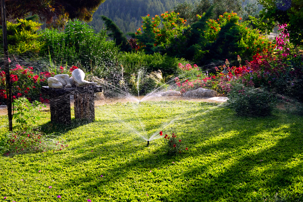 Irrigation Systems to Know About Before Calling a Las