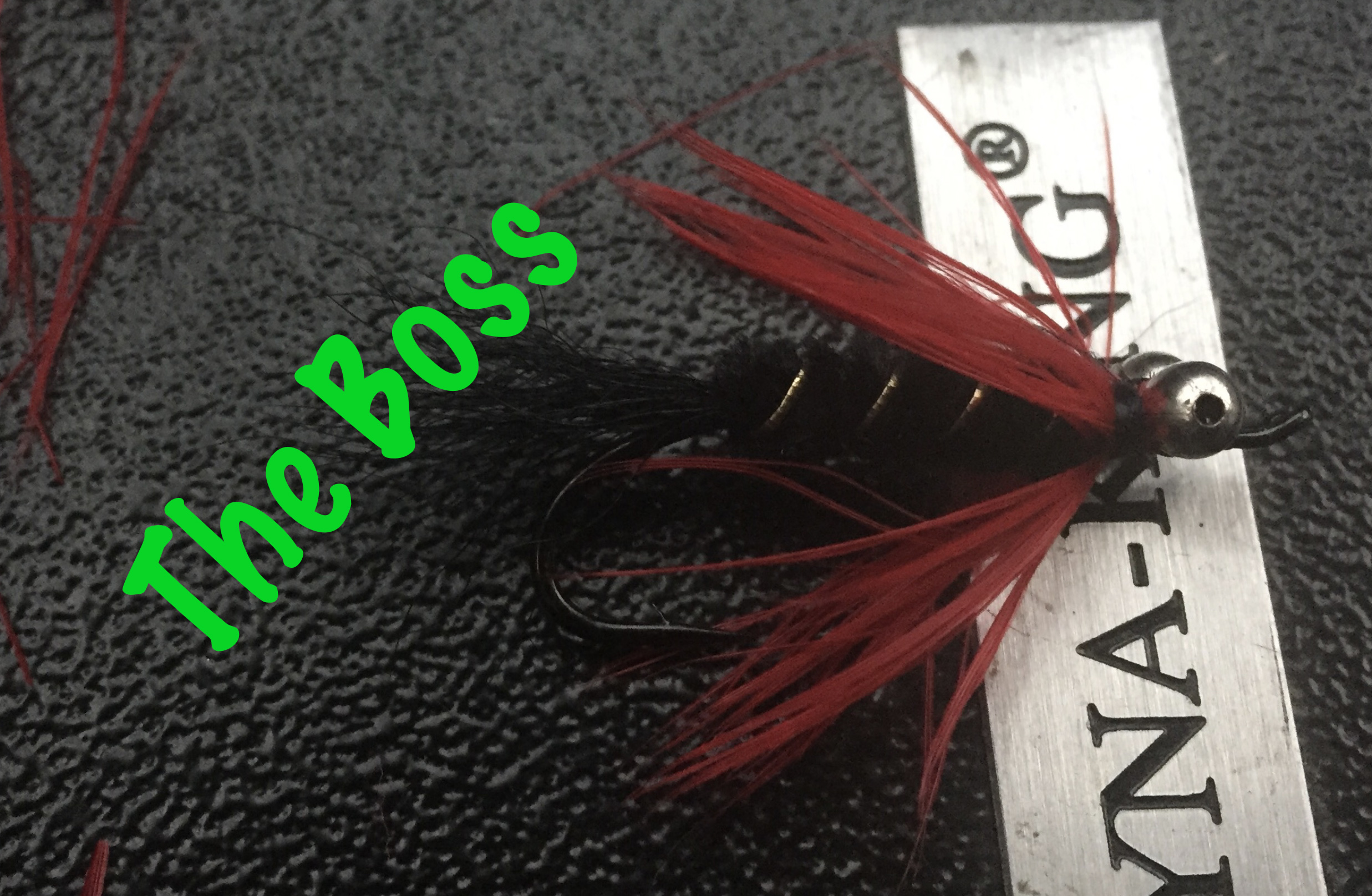 How to Tie The Boss Steelhead and Salmon Pattern [Video] Wet Fly Swing