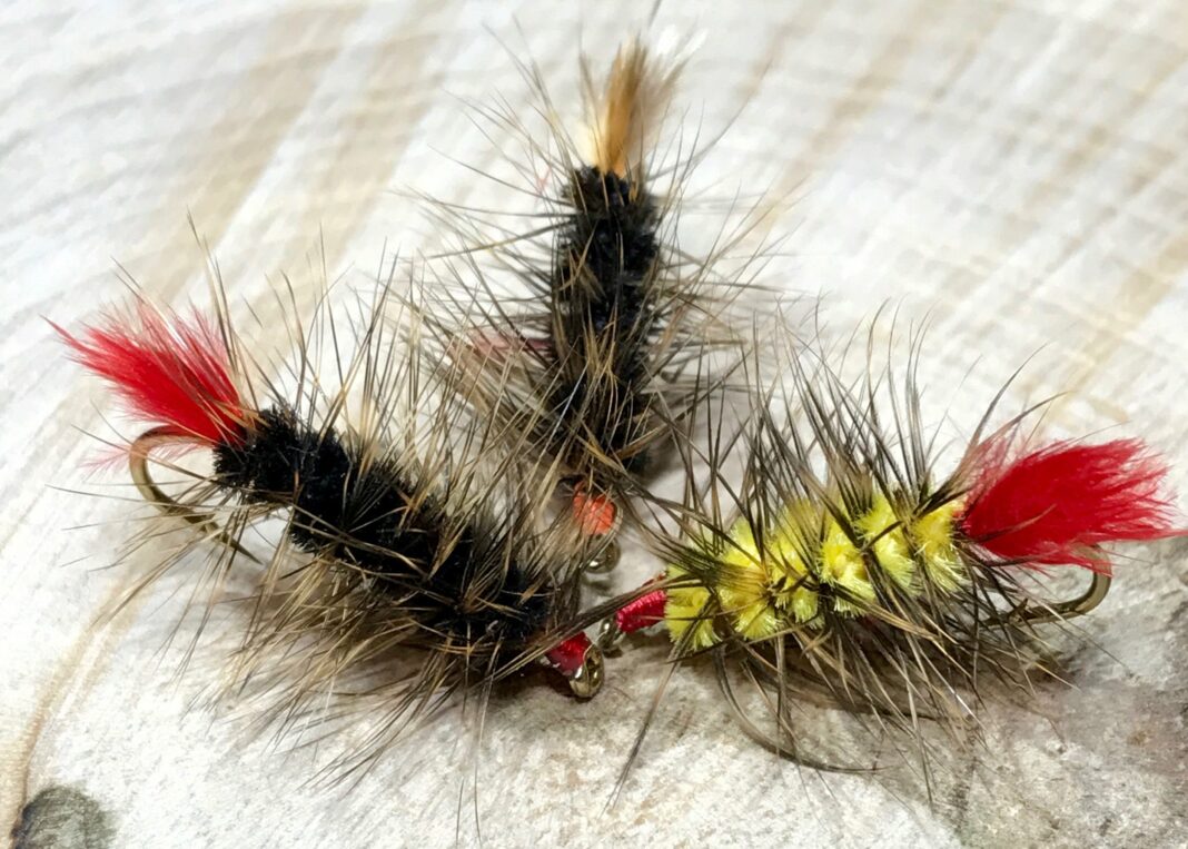 WFS 265 The 13 Essential Panfish Flies with Bart Lombardo from Panfish on the Fly Wet Fly Swing