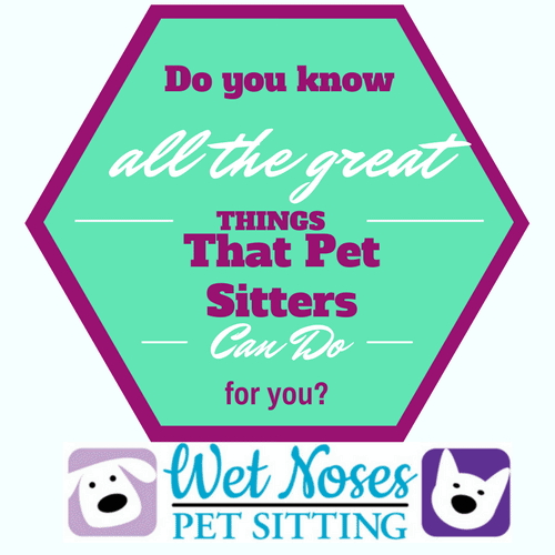 TEXT (2) Wet Noses Pet Sitting