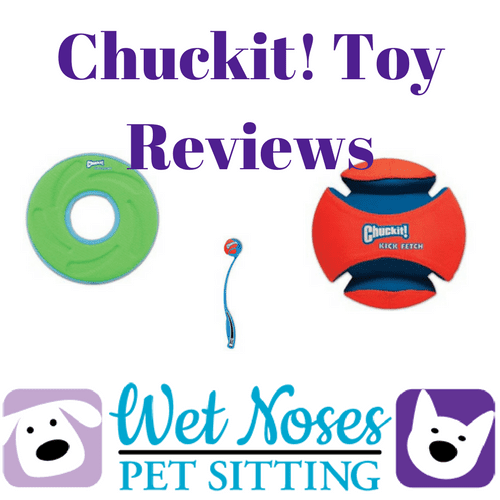 Chuckit! Wet Noses Pet Sitting