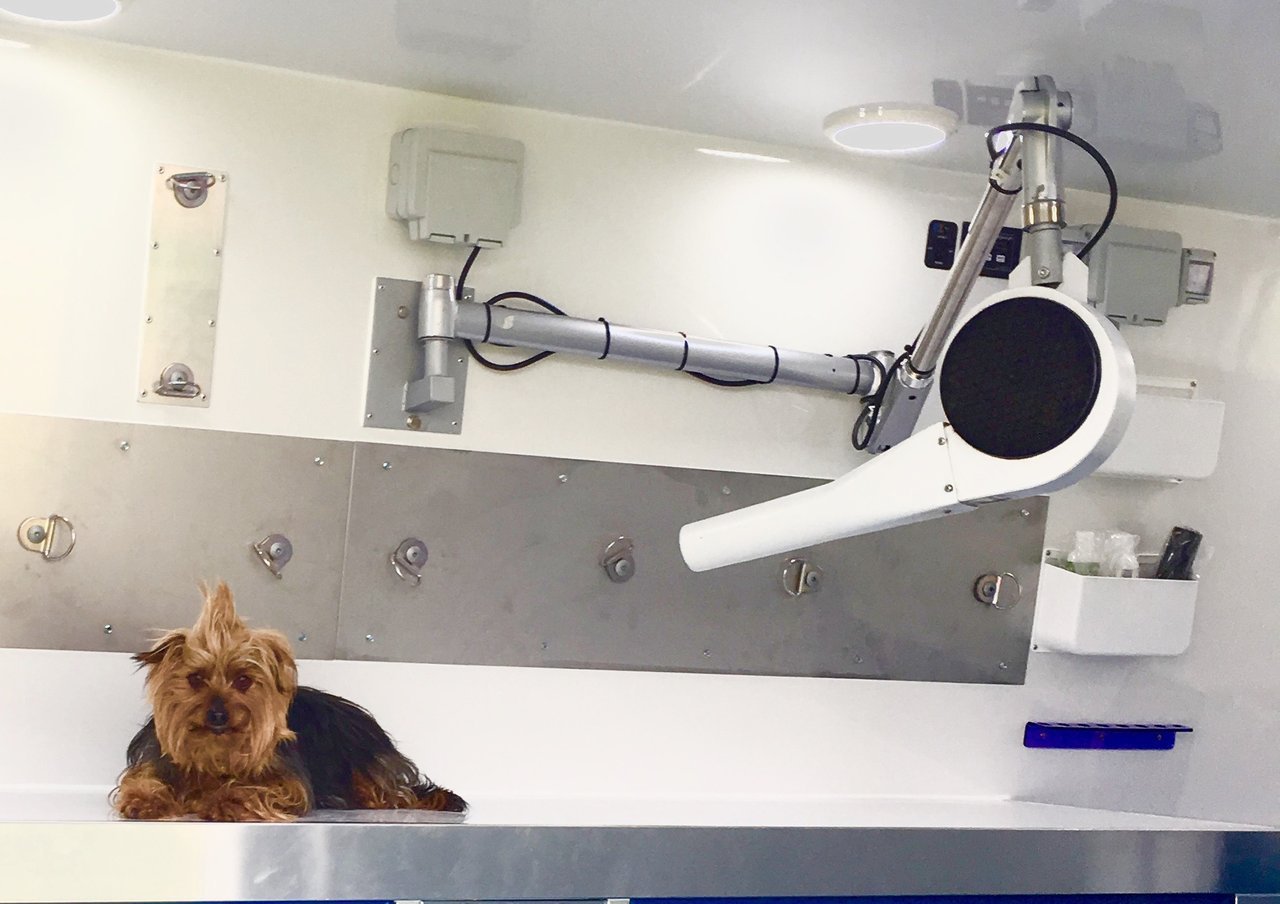 Grooming Van Optional Extras Wet Pets Conversions