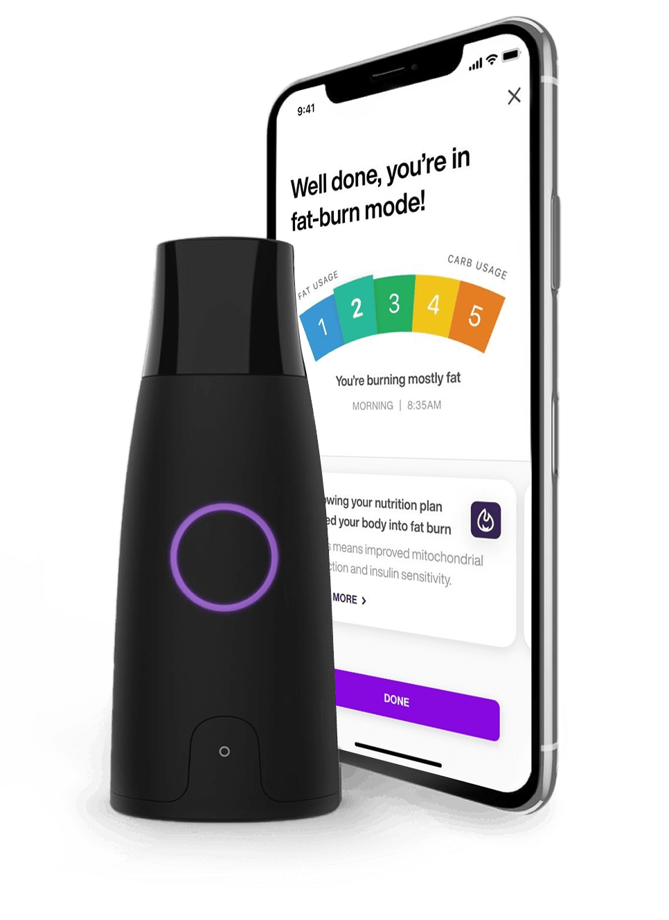 Lumen Review + The Keto Diet The Ultimate Guide We Tried It