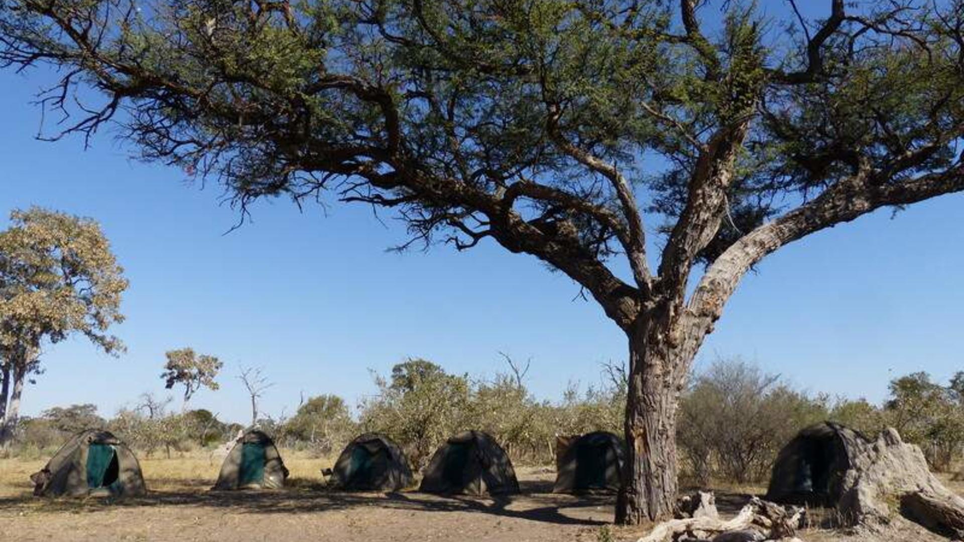 Botswana 8day Kalahari and Makgadikgadi Pans Private Camping Safari
