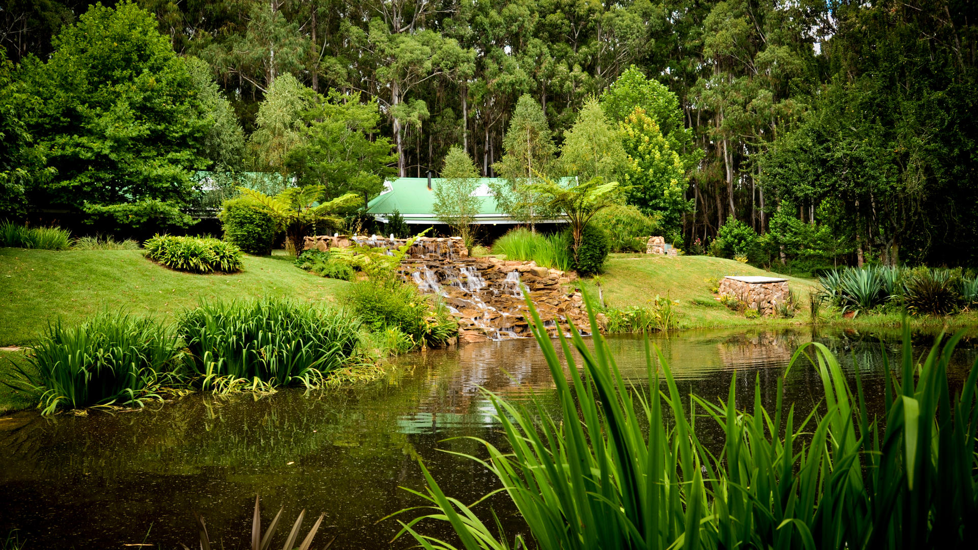 Dunkeld Country & Equestrian Estate Home