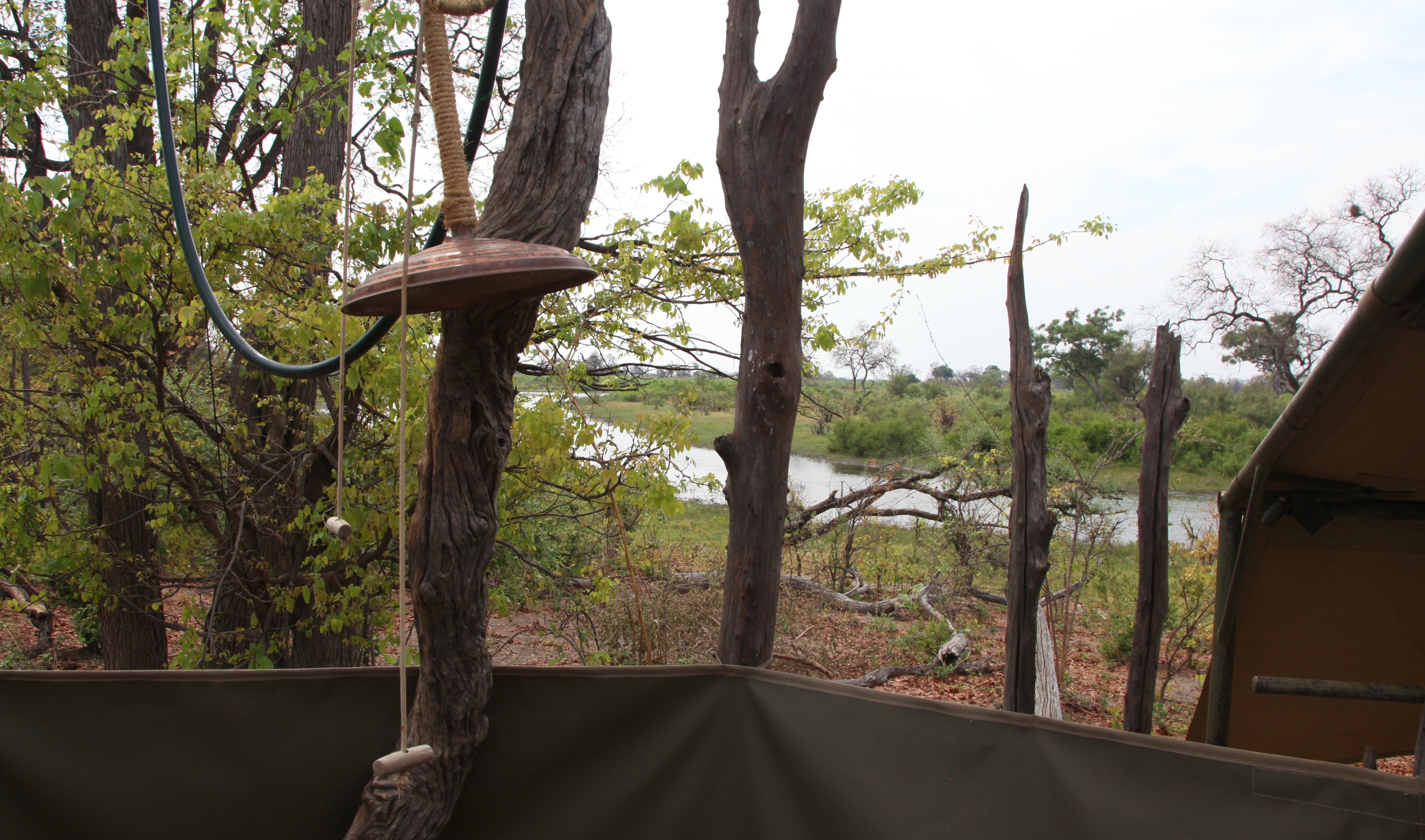 Selinda Explorers Camp Photos