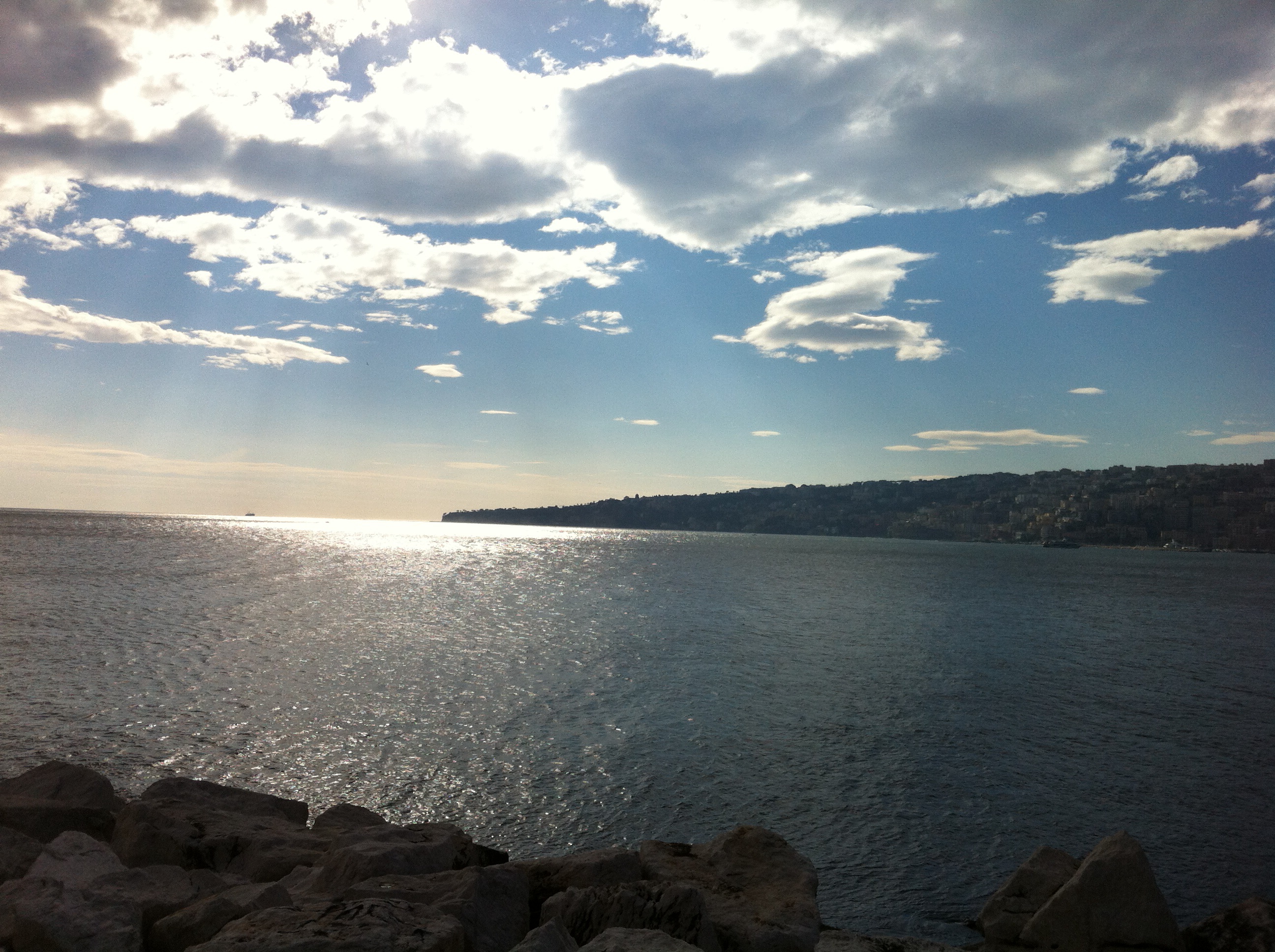 An Irrational Fear Of Pigeons We Were Never In Kansas.