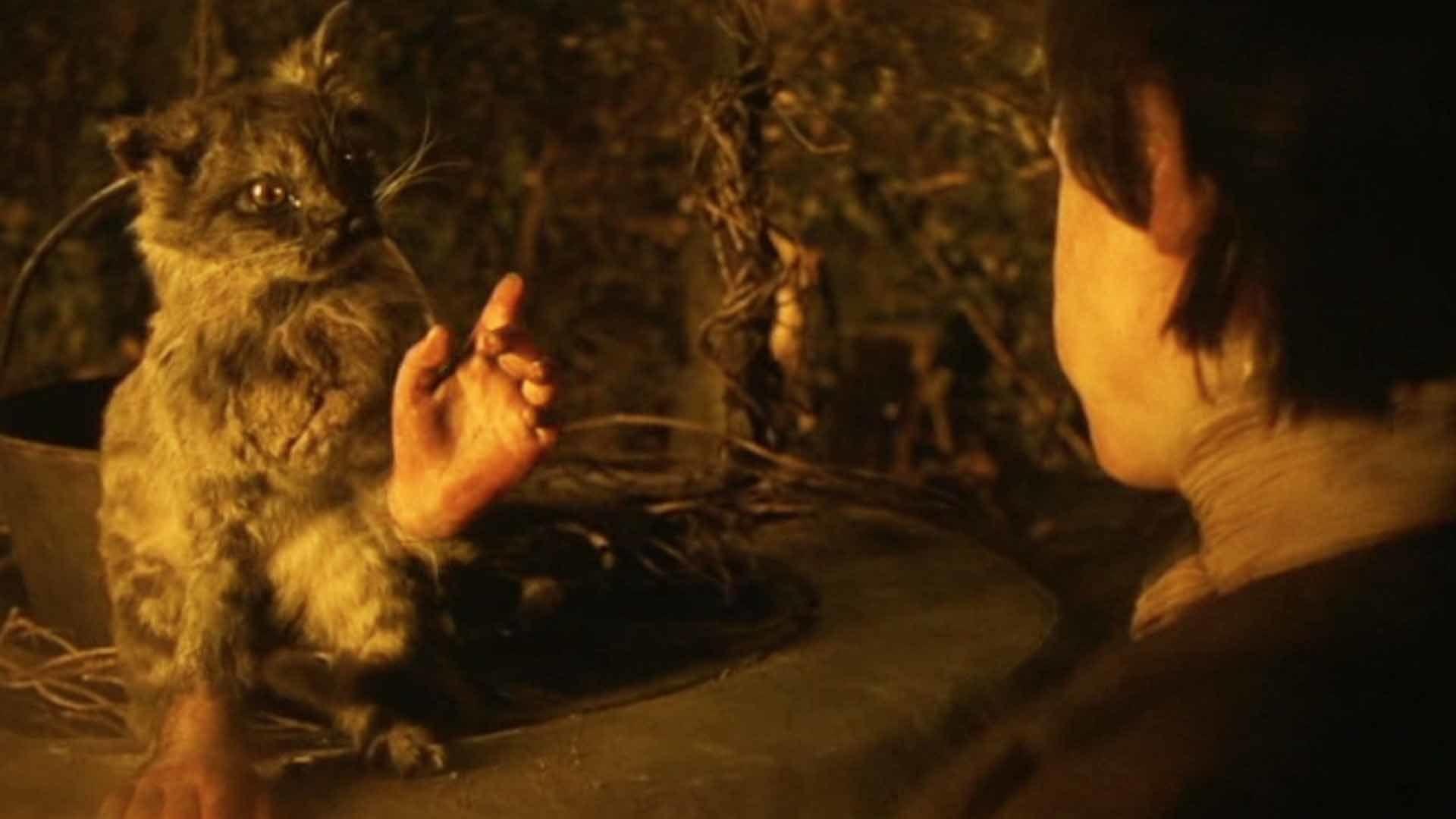 Irresistible Revulsion Dissonance and Horror in “The Cat with Hands