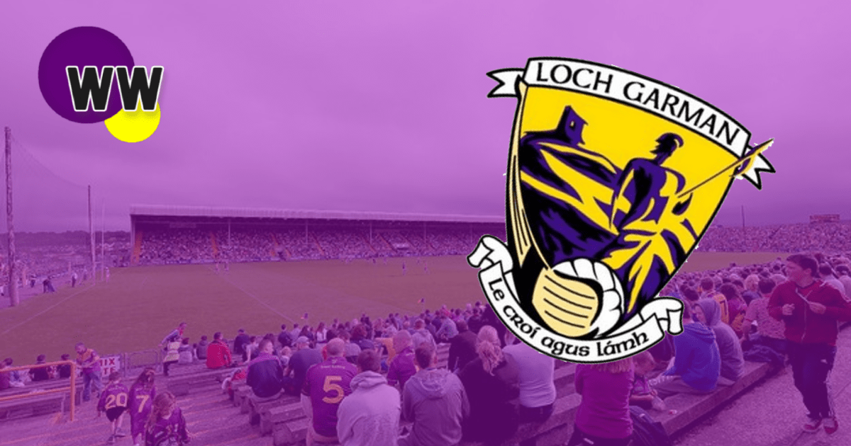 Wexford GAA confirm the new Wexford Senior hurling manager Wexford Weekly