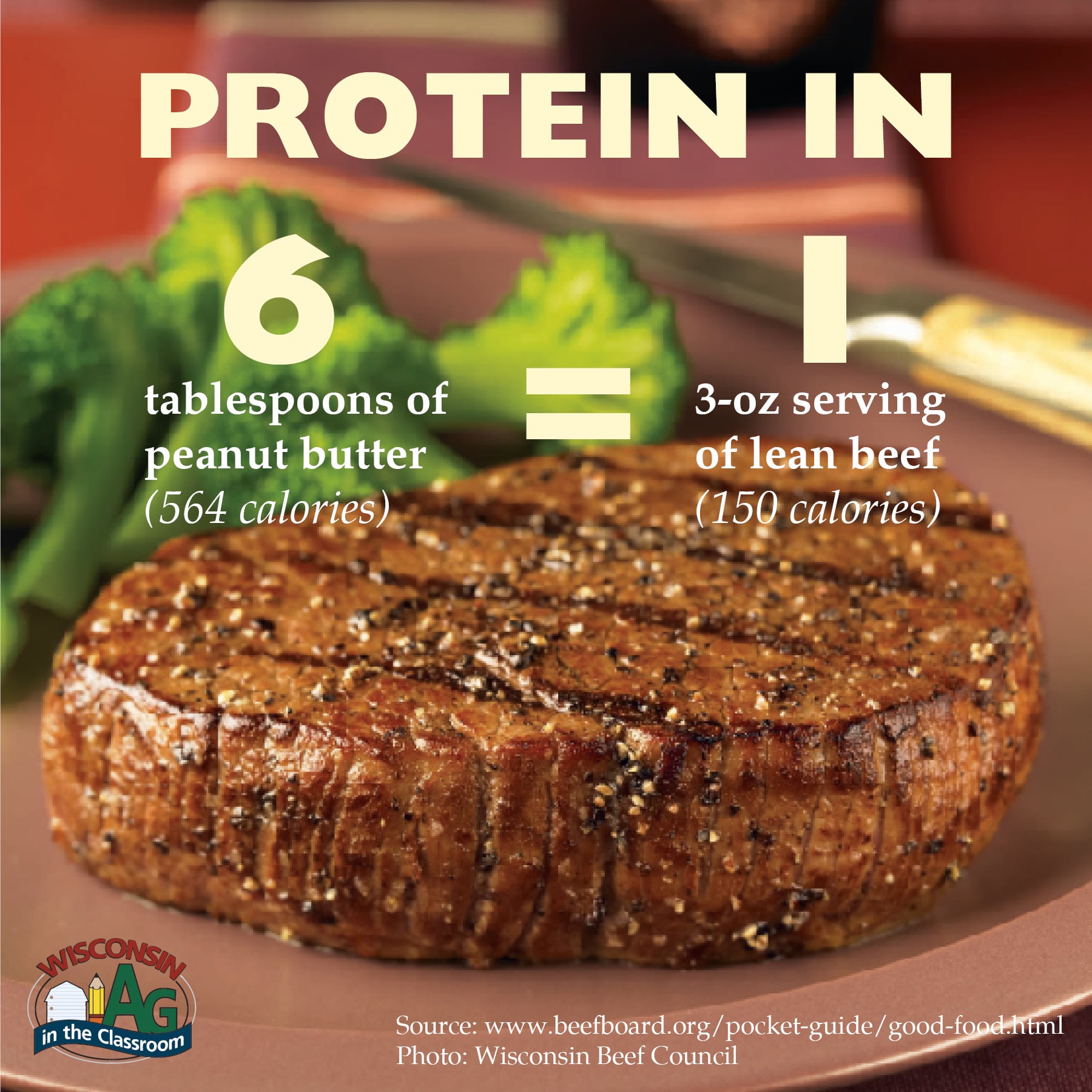 Beef Facts Wisconsin Farm Bureau Federation