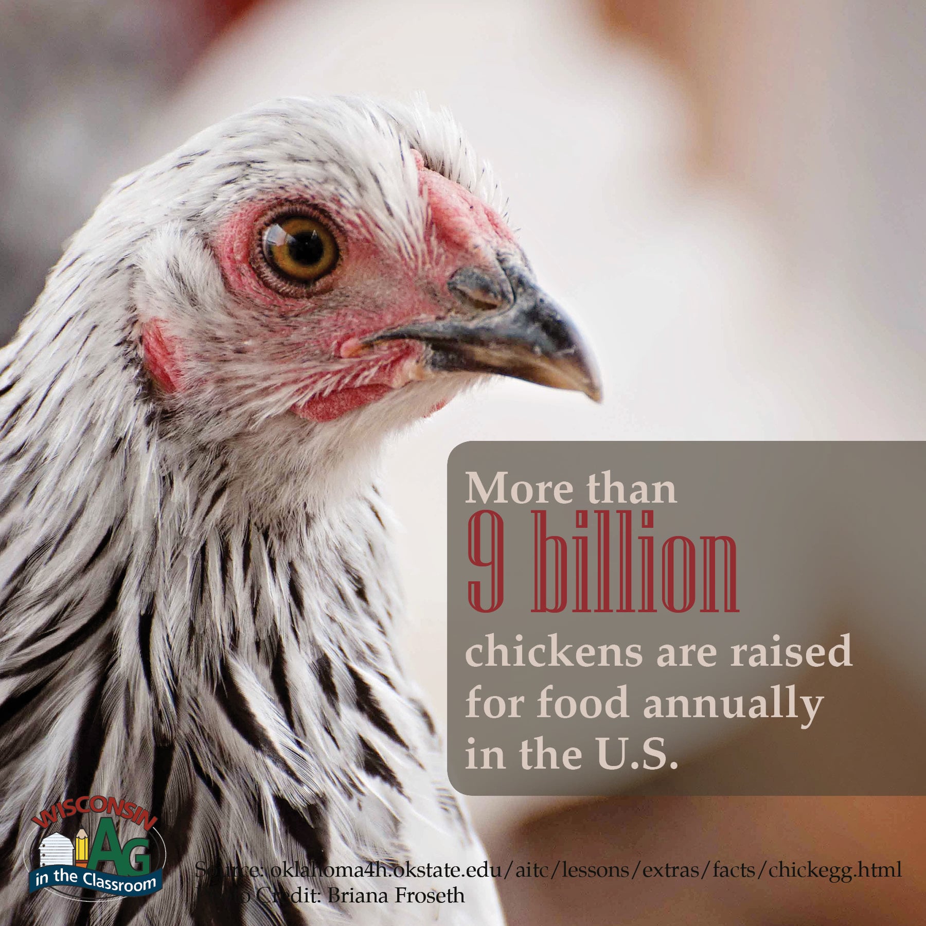 Poultry Facts5 Wisconsin Farm Bureau Federation