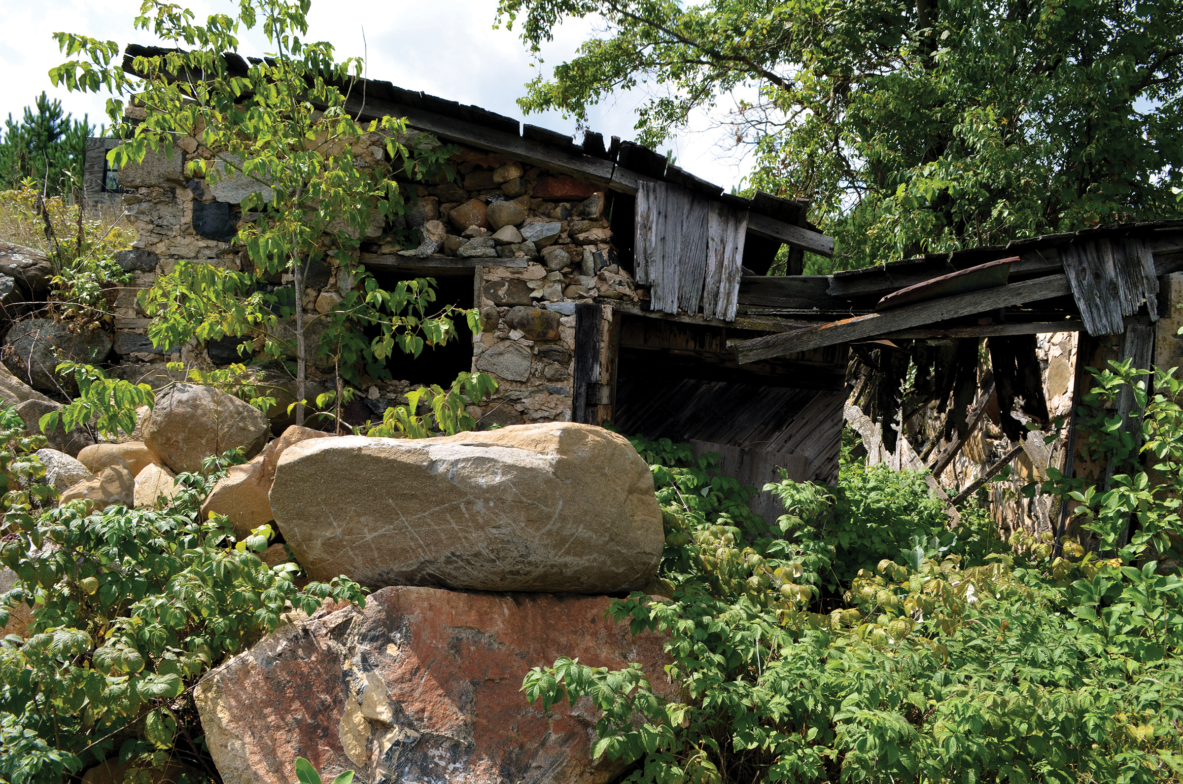 Meet Gary and Lynda Bula Wisconsin Farm Bureau Federation