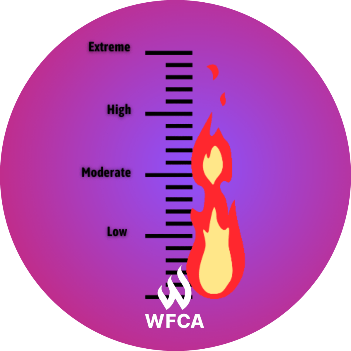 Fire Intensity An InDepth Guide WFCA