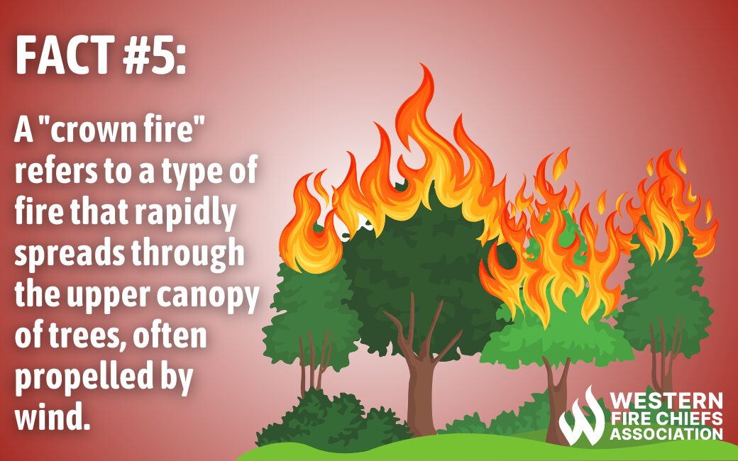 7 Facts About Wildfires You Should Know WFCA