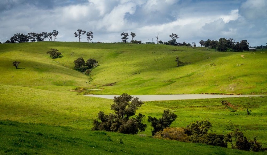 Things to do Wellington forest ferguson valley ferguson valley