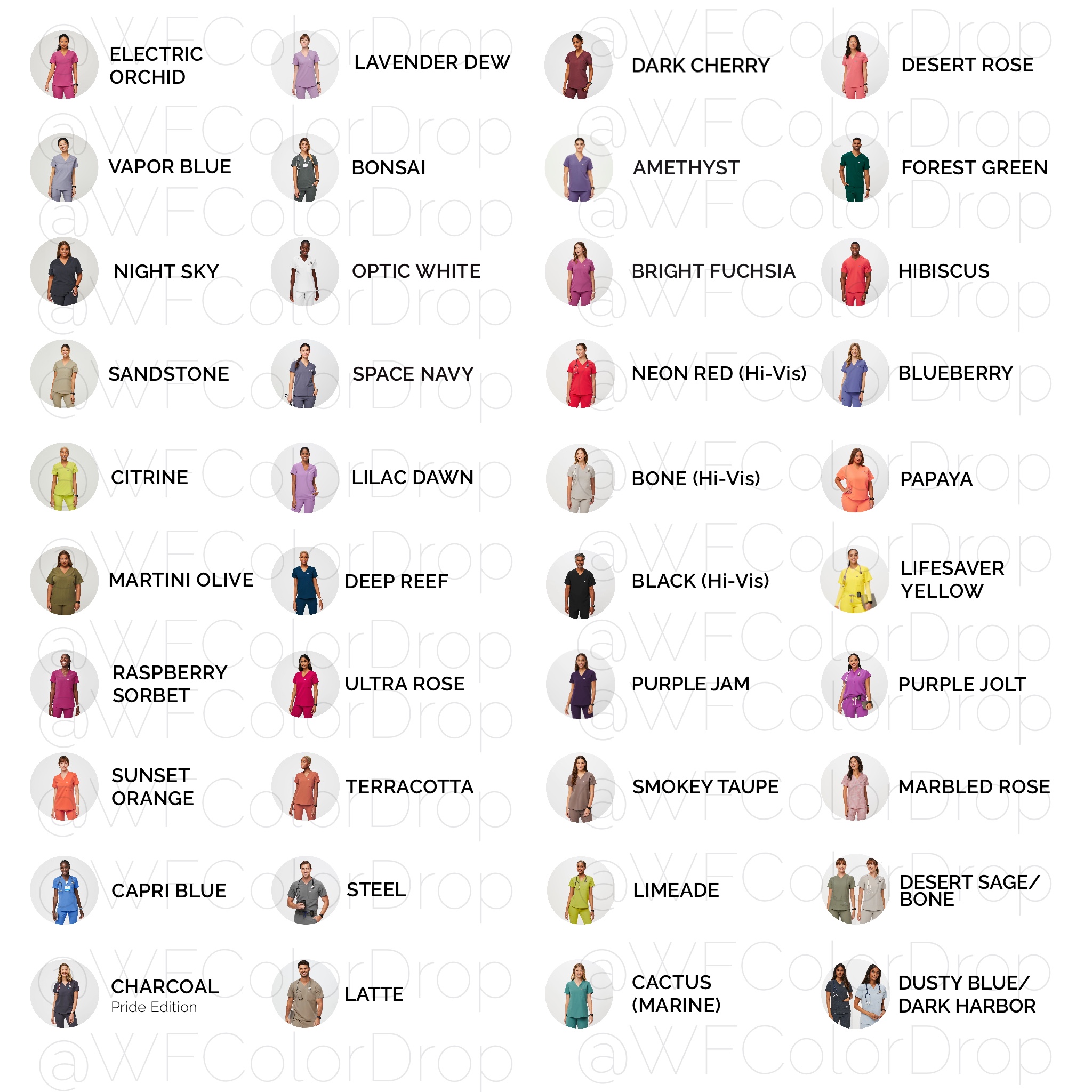 Downloadable FIGS Color Chart WF COLOR DROP