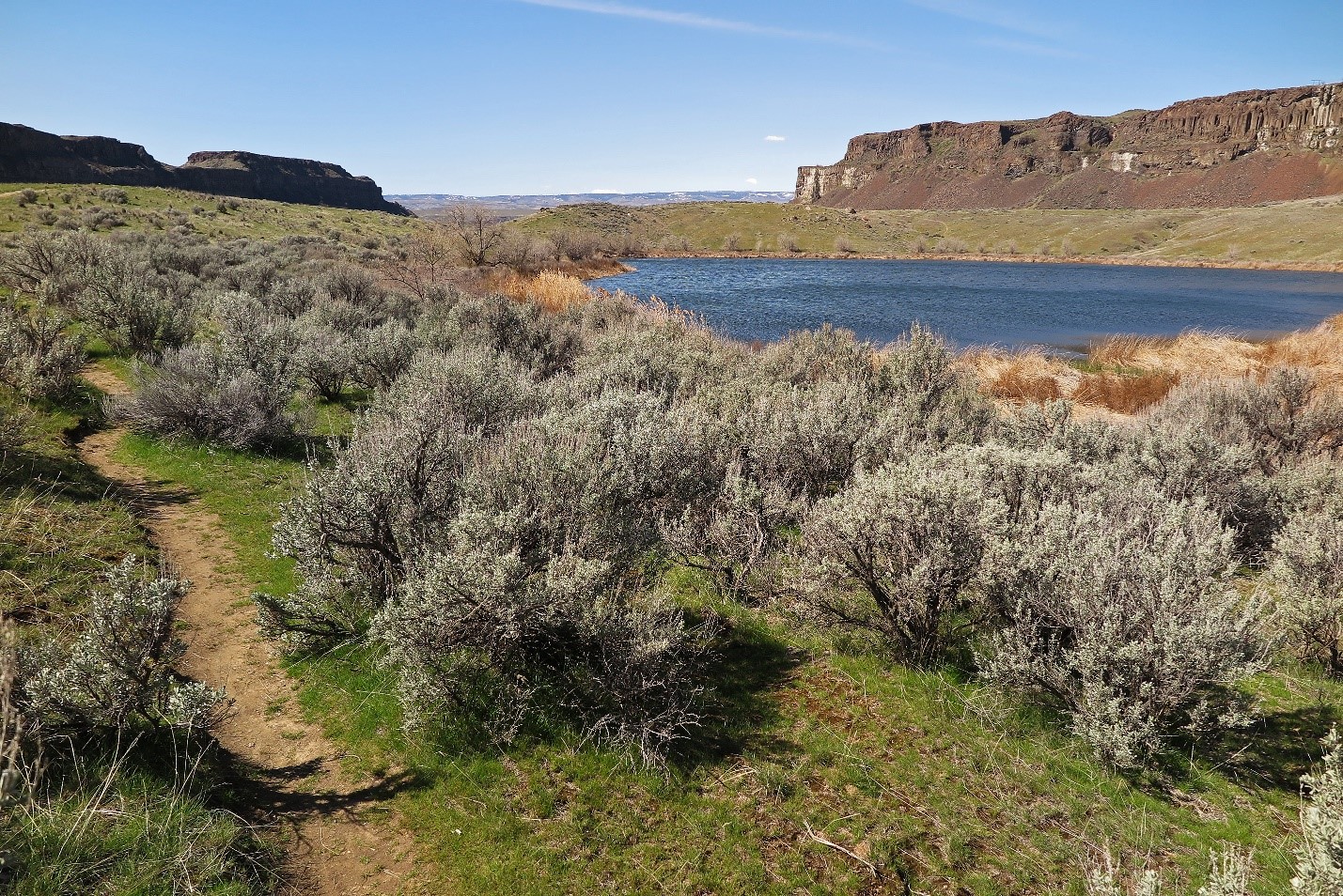 April 12, 2023 WFFC Quincy Lakes Wildlife Area Outing Washington Fly