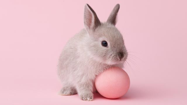 Struthers Easter Egg Hunt moved to new location