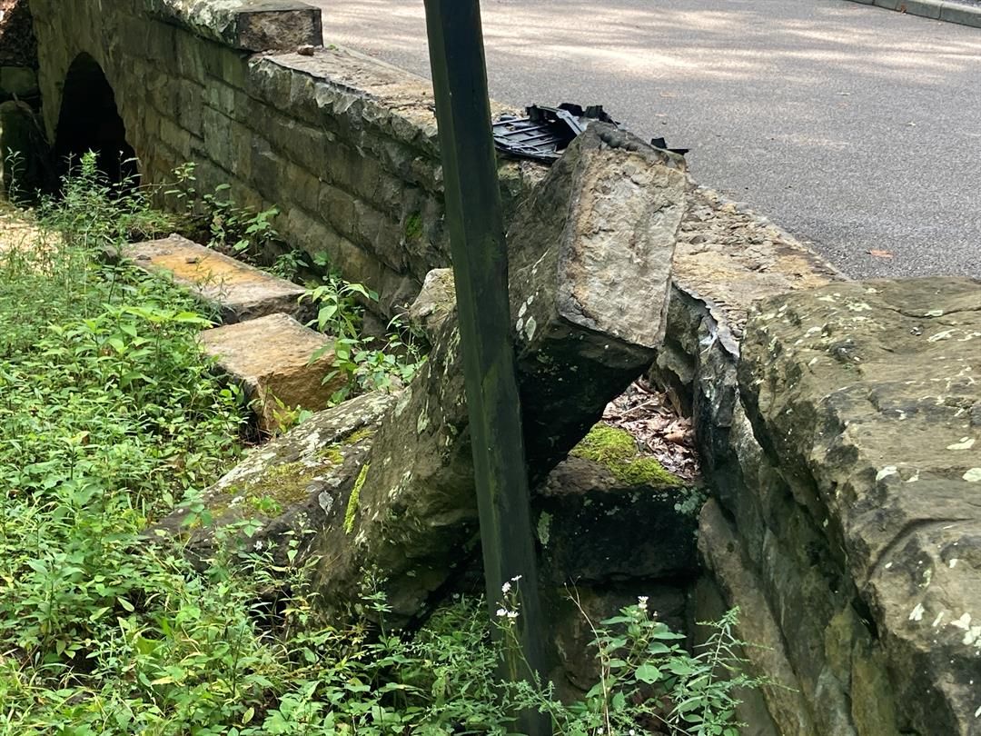 Two arrested after chase through Mill Creek Park ending at Bears WFMJ