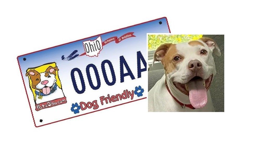 Ohio adds pit bull to 'petfriendly license plates