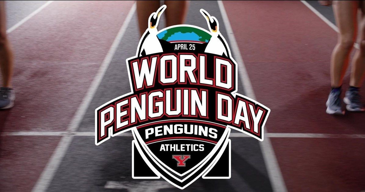 YSU, Penguin City Beer getting ready to celebrate 'World Penguin Day