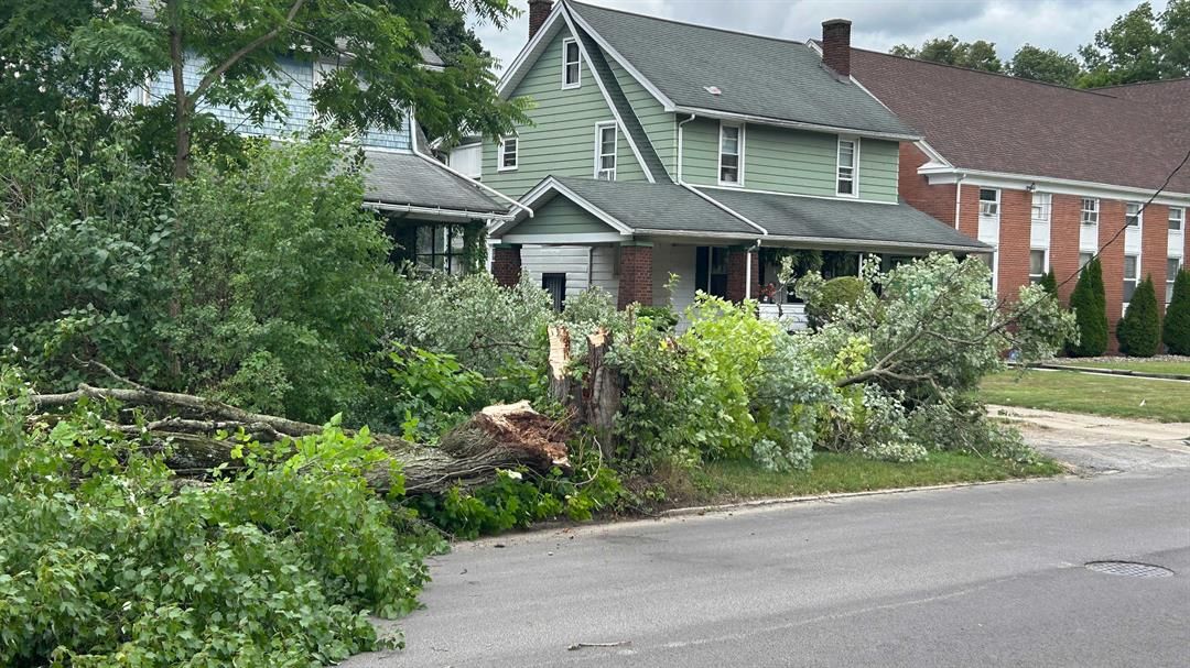 VIDEO Tree blocks one lane on Hudson Avenue in Youngstown