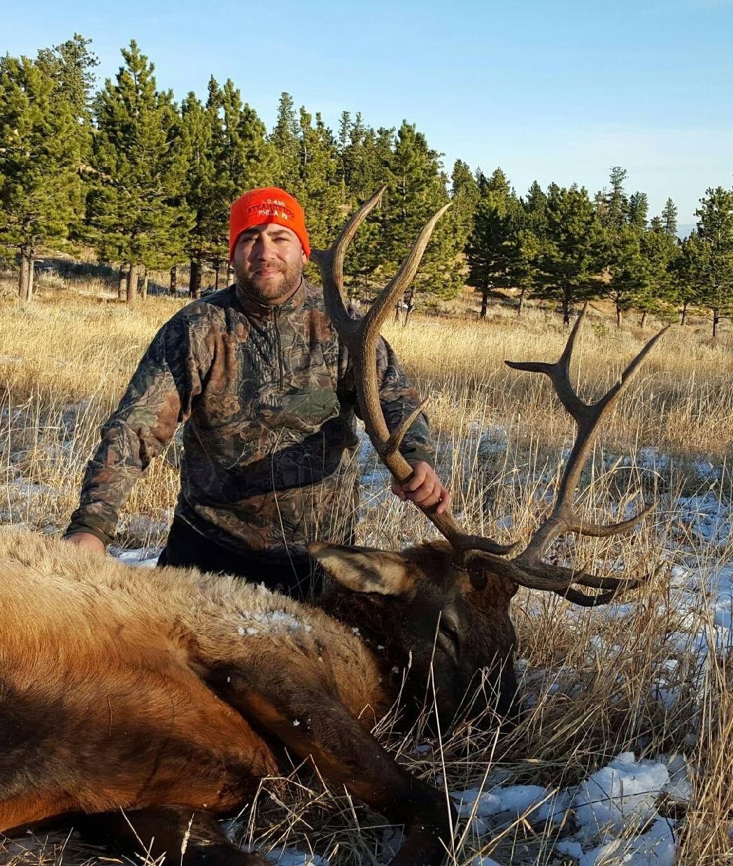 Elk & Deer Hunt Wyomings Finest Outfitters