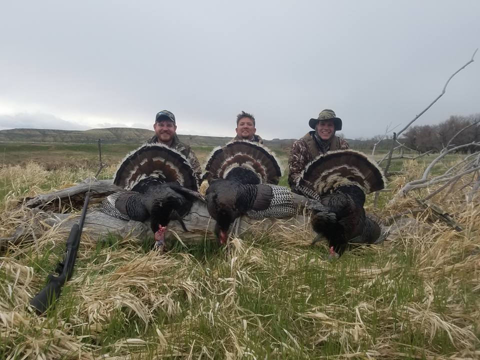 20162017 Hunting Seasons Wyoming Hunting Unleashed Choose Wyoming's