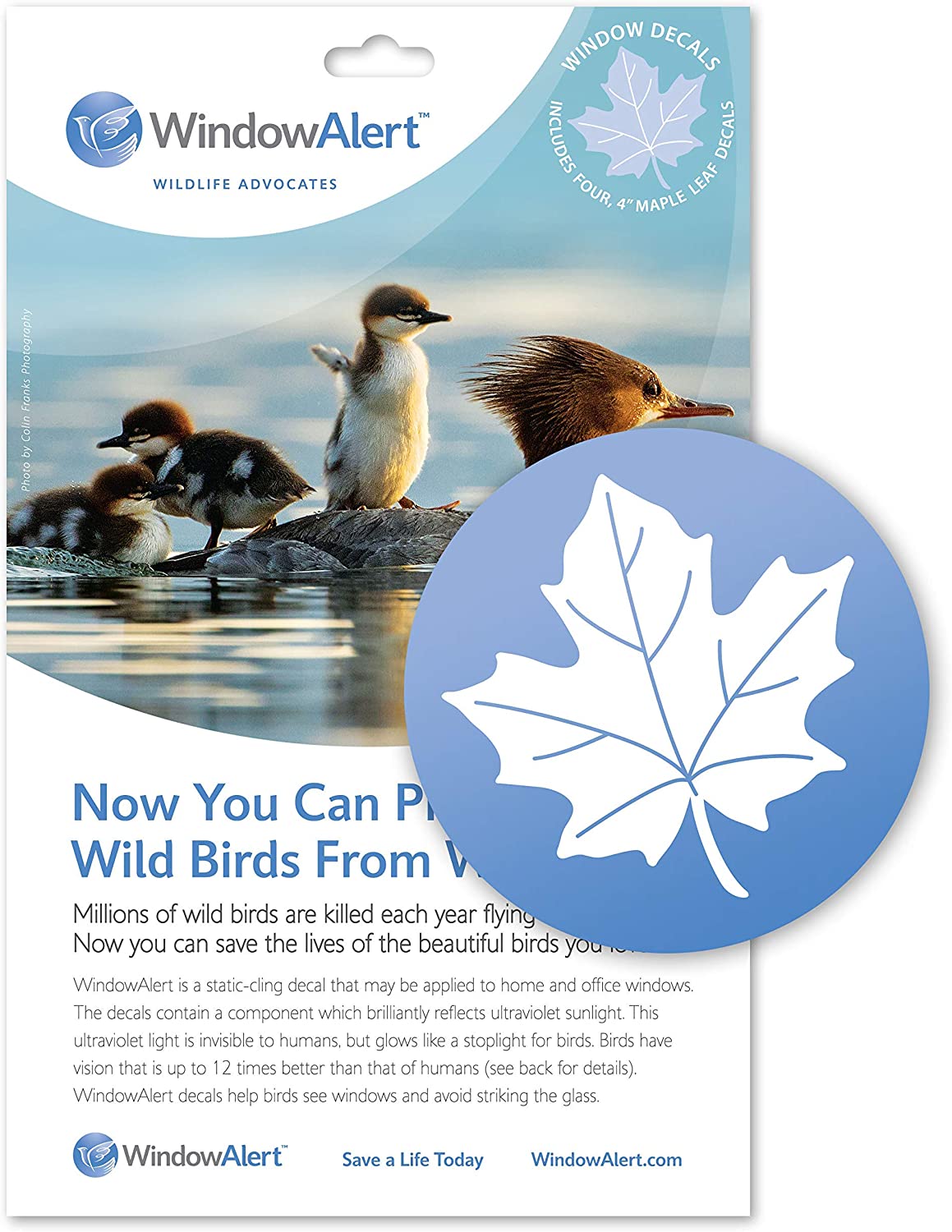 Window Alert Decal Maple WFVZ Western Foundation of Vertebrate