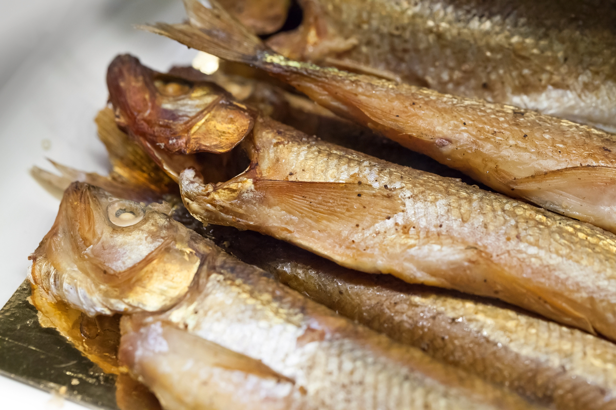 Smelt fry canceled for a second year in Washington County 98.9 WCLZ