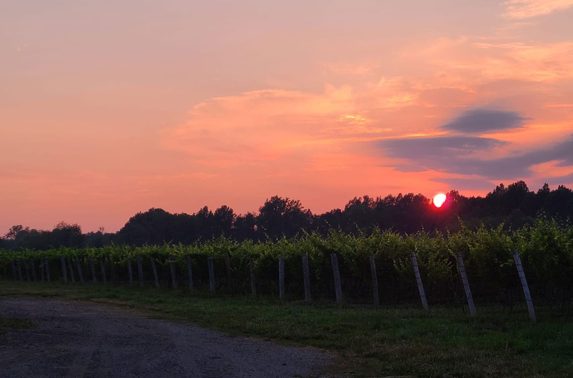 grand river valley ice wine festival 2023 Five Award Winning Wineries Wine Growers of the Grand River Valley