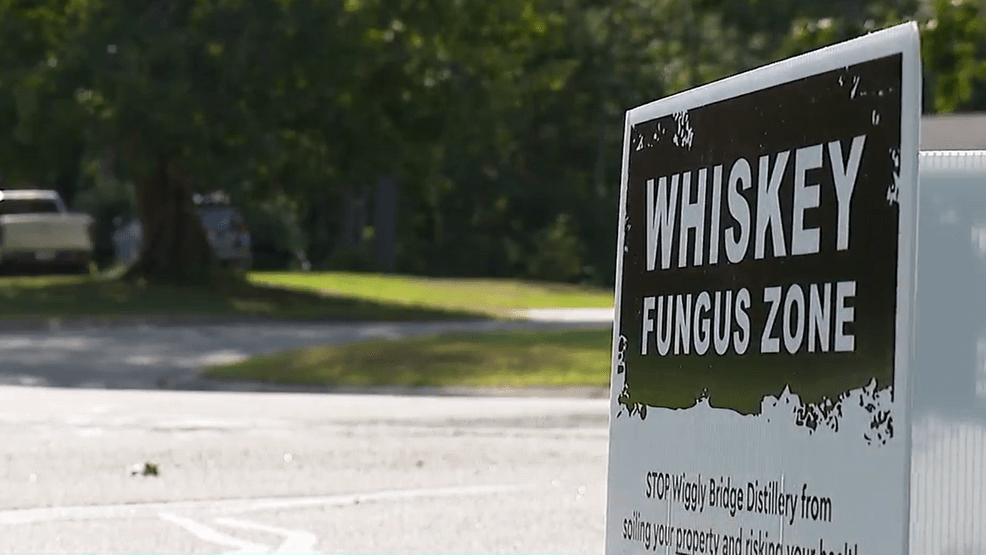 Neighbors hope to stop expansion of York distillery due to 'whiskey fungus'