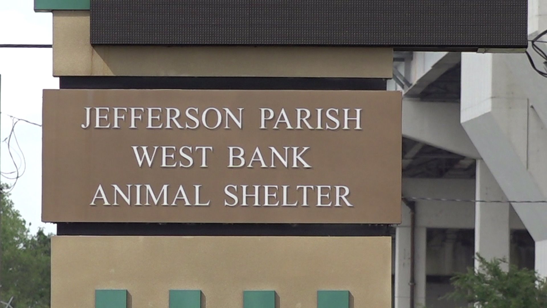 Jefferson Parish Animal Shelter encourages fostering and adoptions amid