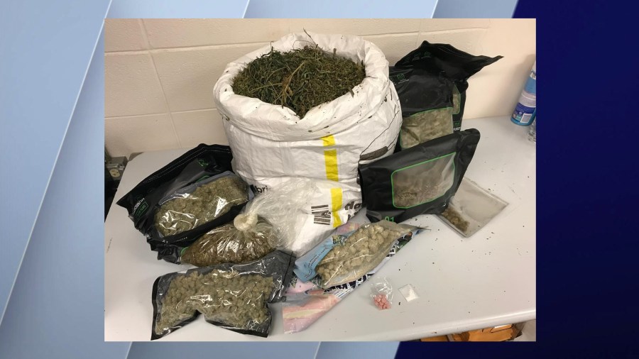 Deputies Seize Over 10 Pounds of Marijuana and Half a Pound of MDMA from Buffalo Grove Home