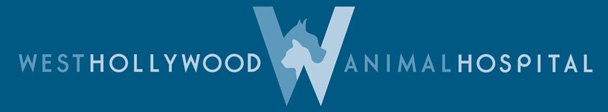 Contact Us West Hollywood Animal Hospital