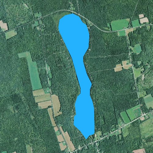 Ripley Pond, Maine Fishing Report