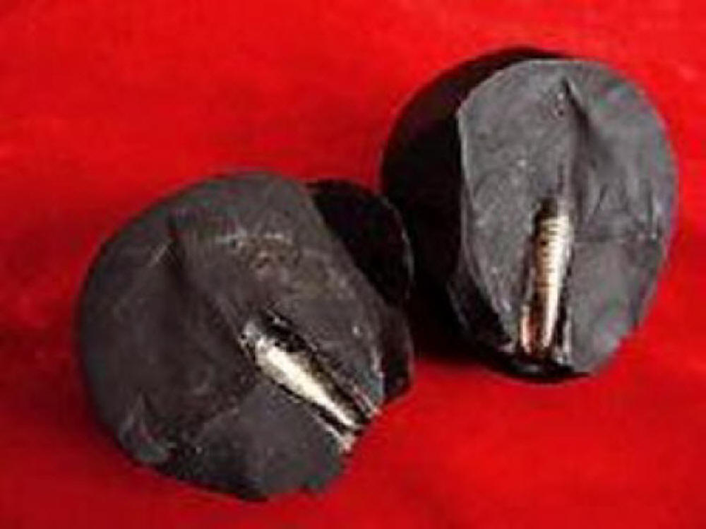 Forbidden Archeology