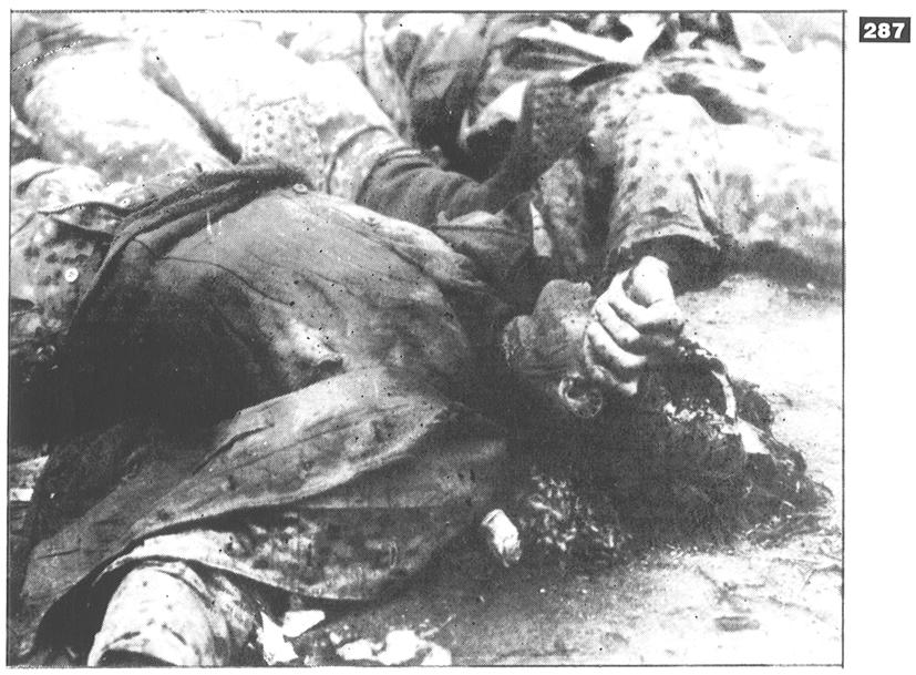 Execution of SS soldiers at Dach